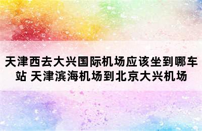 天津西去大兴国际机场应该坐到哪车站 天津滨海机场到北京大兴机场